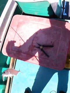 Рыбалка в Муйне