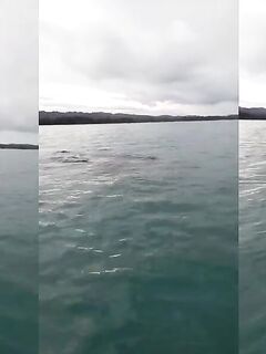 Рыбалка в Пуэрто-Хименесе — полуостров Оса