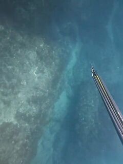 Рыбалка в Нетании