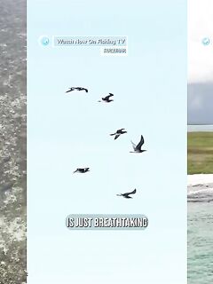 Рыбалка на Фаркаре