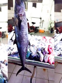 Рыбалка в Эль-Кунфудхе