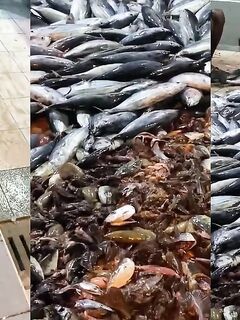 Рыбалка на Наифару