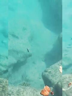 Рыбалка на Лхавияни-атолле