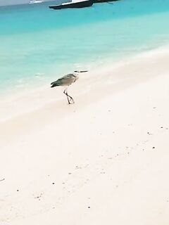 Рыбалка на Вааву-атолле