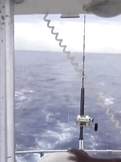 Рыбалка в Макао