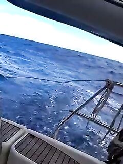 Рыбалка в Испании