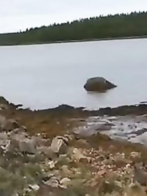 Рыбалка в Чупе