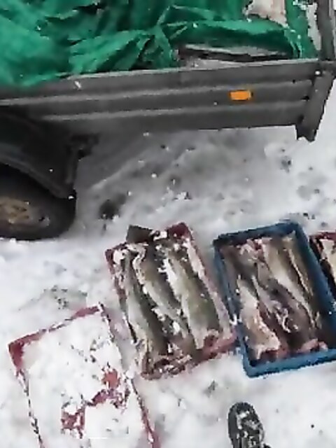Рыбалка в Мурманске