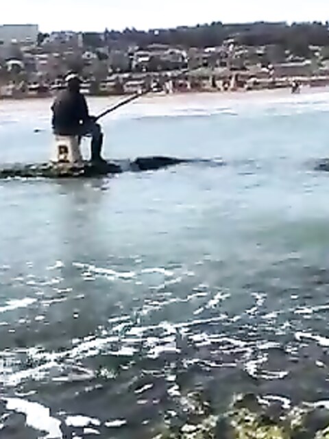 Рыбалка в Баку