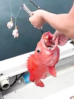 Рыбалка на Камчатке