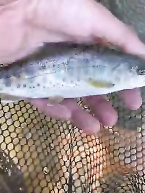 Рыбалка на Охотском море