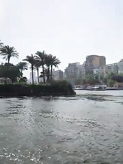 Рыбалка в Каире