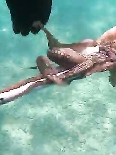 Рыбалка на Эгейском море