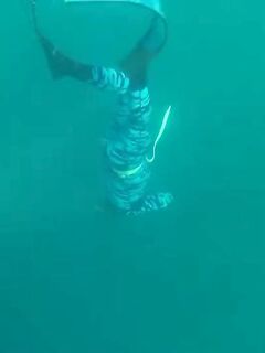 Рыбалка в Александрии