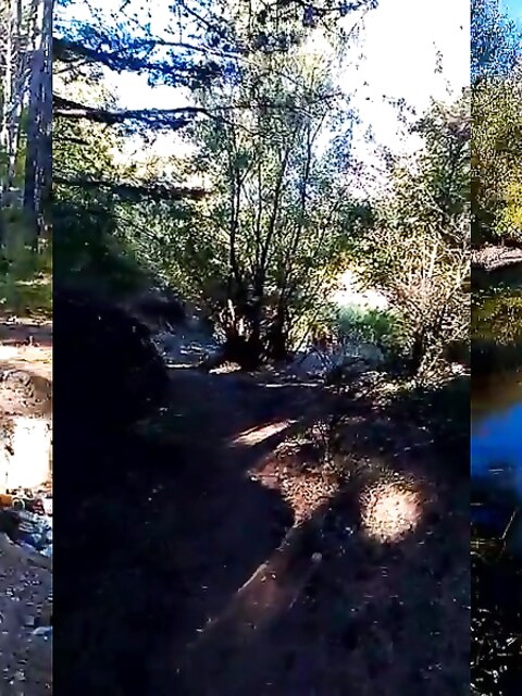 Рыбалка в Гаспре