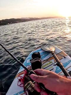 Рыбалка в Алуште