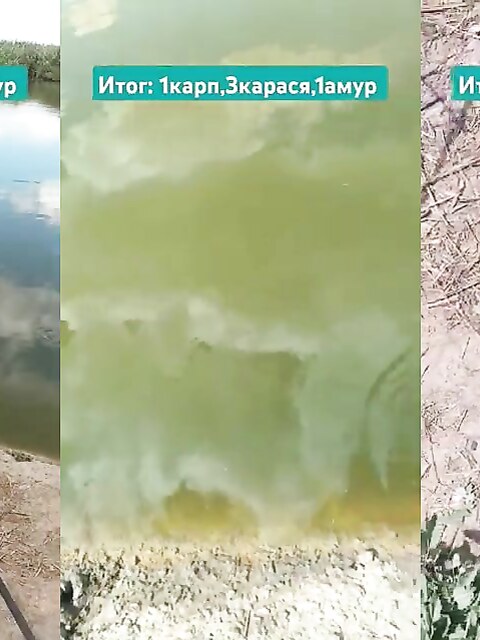 Рыбалка в Ростовской области