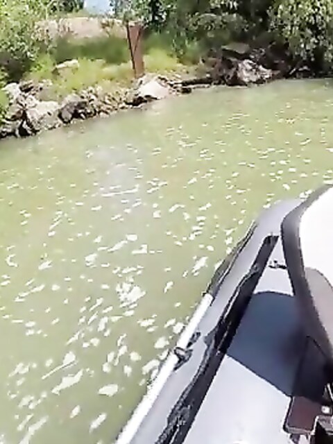 Рыбалка на Кубани