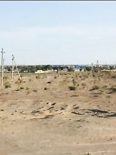 Рыбалка на Аральском море