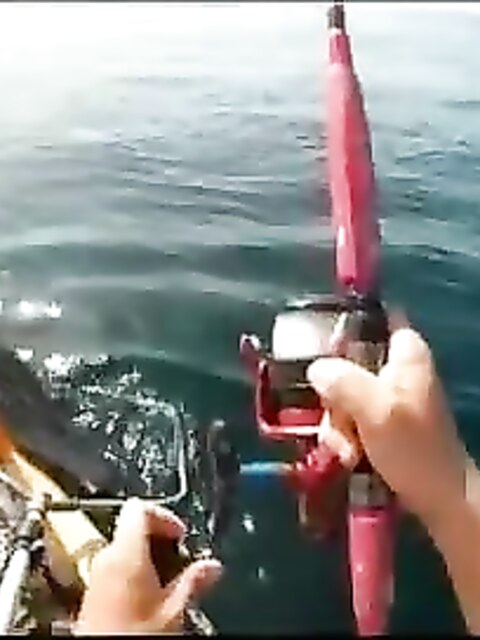 Рыбалка на Ионическом море