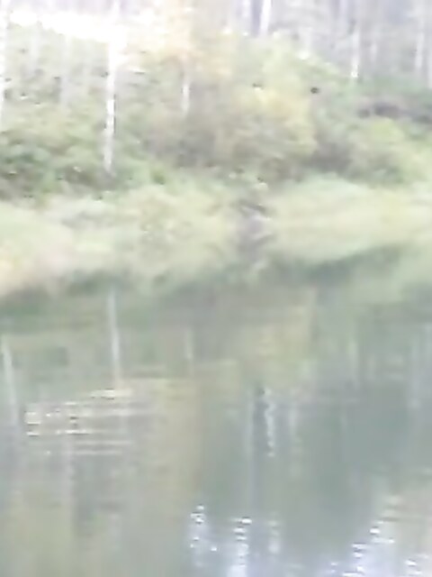 Рыбалка на Красноярском море
