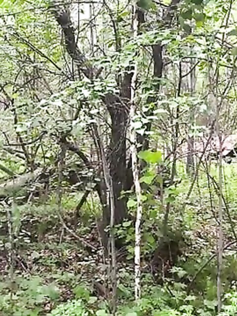Рыбалка на Братском море