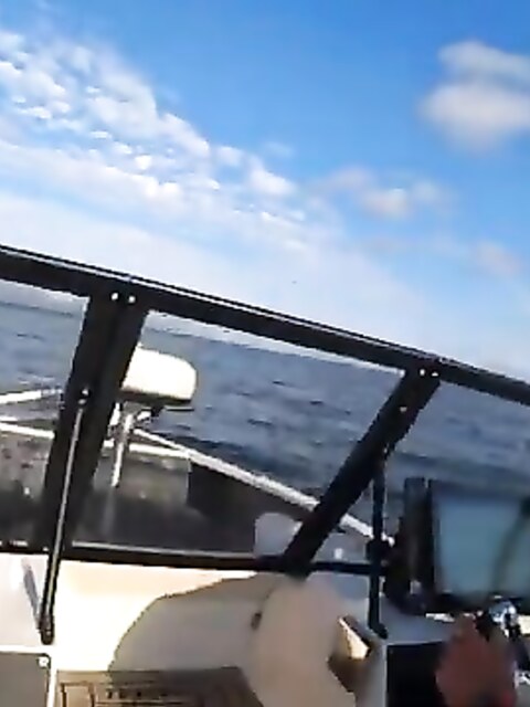 Рыбалка на Рыбинском море