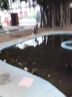 Рыбалка в Коломбо