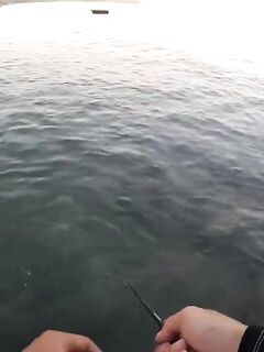 Рыбалка на Самете