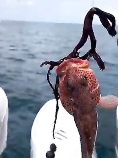 Рыбалка на Багамах