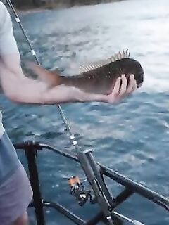 Рыбалка в Новой Зеландии