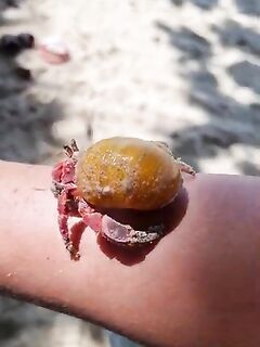 Рыбалка на Кароне