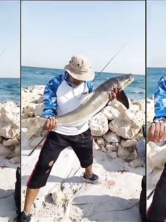 Рыбалка в Бахрейне