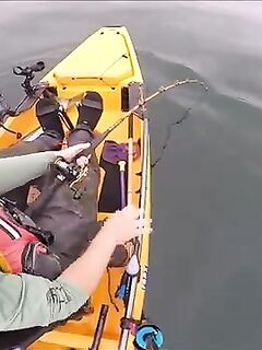 Рыбалка в Сан-Диего