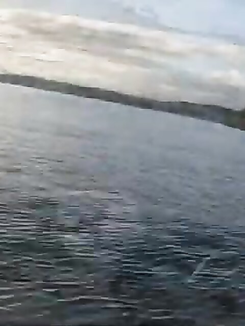 Рыбалка в Сиднее