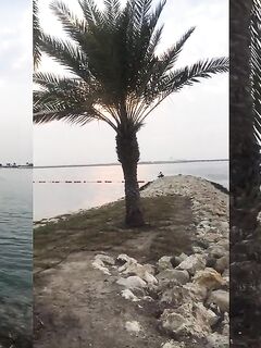 Рыбалка в Манаме