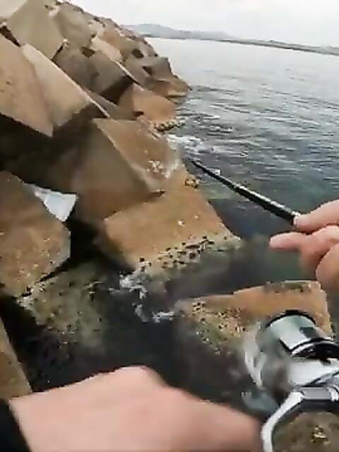 Рыбалка в Марселе