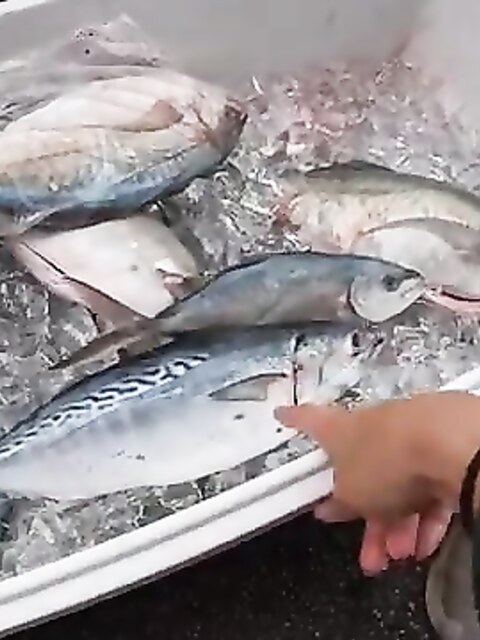 Рыбалка на Бермудских островах