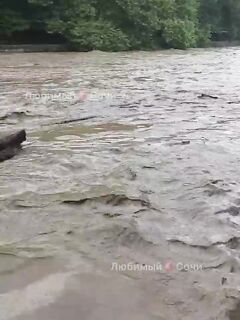 Рыбалка в Хосте