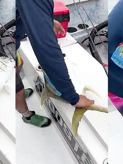 Рыбалка в Мексике