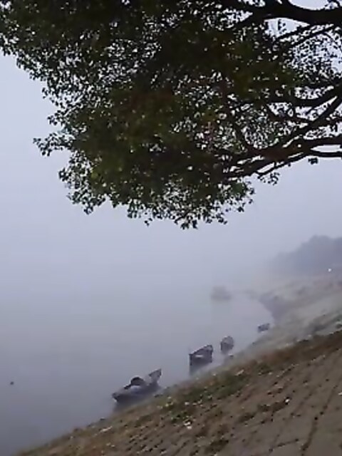 Рыбалка в Бангладеш