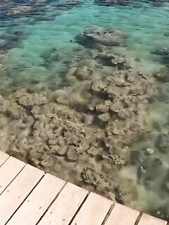 Рыбалка в Марса-Аламе