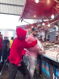 Рыбалка в Порт-Саиде