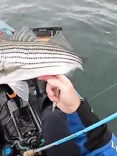 Рыбалка в Атлантическом океане