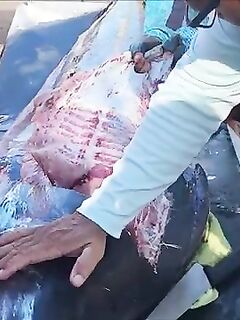 Рыбалка на море Кортеса