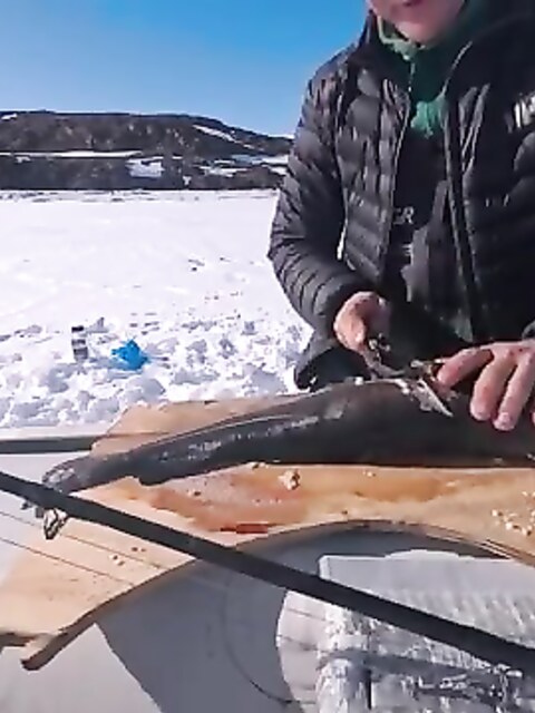 Рыбалка на Гренландском море