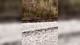 Хоста. Прогулка по окрестностям с Захаром