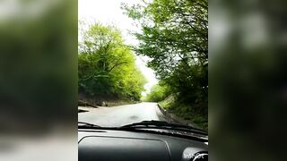 Хоста. Прогулка по окрестностям с Захаром