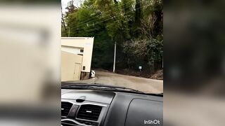 Хоста. Прогулка по окрестностям с Захаром