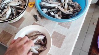 Абхазия, Гагра - самодур по ставриде, отчёт
